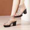 Women's Fashion Tall Thick Heel Design Block Chunky Heels Sandals Square Open Toe Ankle Strap Party Dress Pump Shoes Strappy